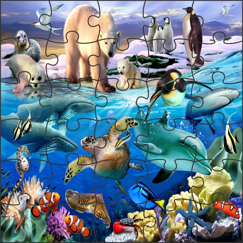 Polar & Aquatic Animals Magnetic Wooden Jigsaw Puzzle Game by MFM TOYS INDIA