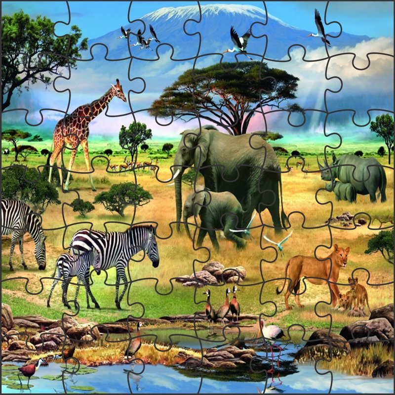 42 piece wildlife safari animals Magnetic Wooden Jigsaw Puzzle Game by MFM TOYS INDIA